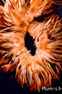Frange coq - long. plumes 10-15 cm - sable sauvage